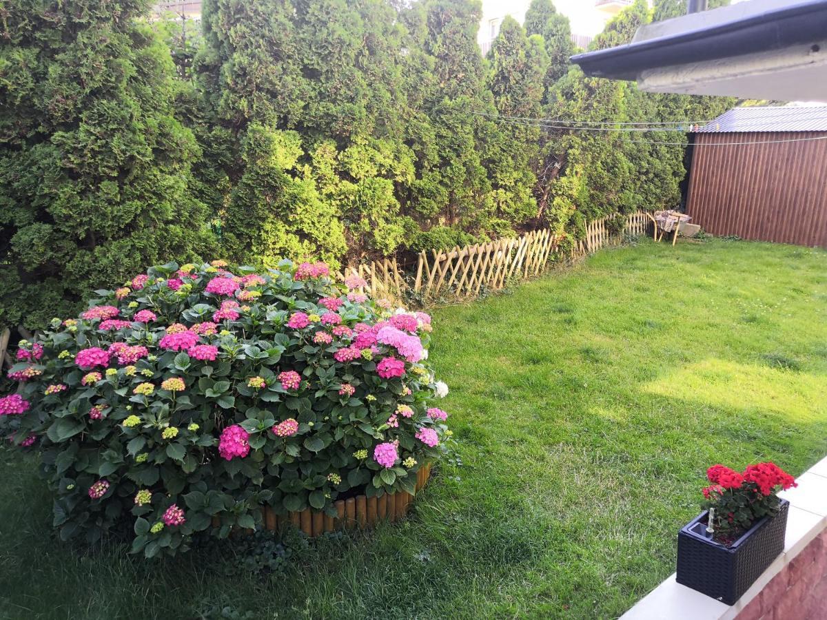 Joasia Władysławowo Buitenkant foto